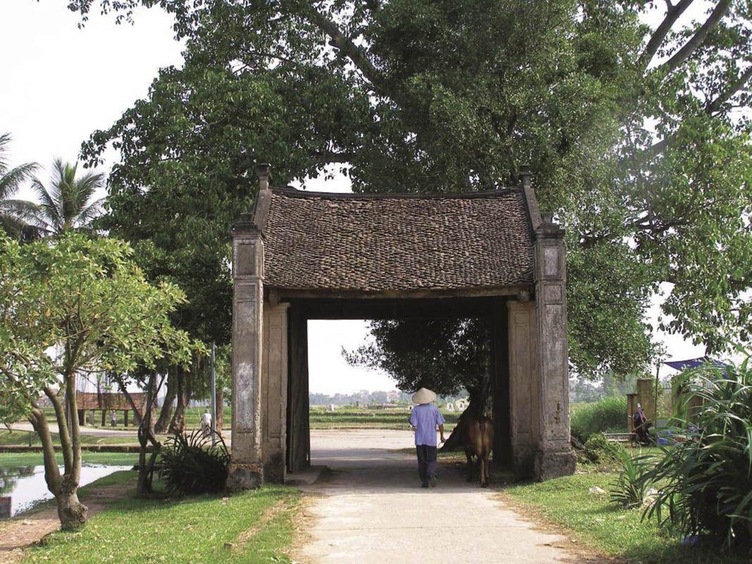 Kiến tạo không gian sống - Thiết kế cảnh quan ở làng que, nông thôn Việt Nam